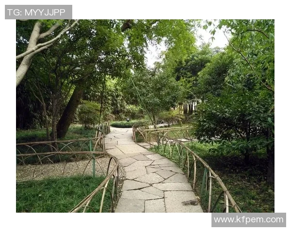 足球明星的爱情故事揭秘为何他总是怕老婆的背后真相