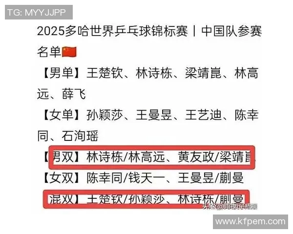 乒乓球个人能力排行榜揭晓武汉乒乓球队荣登第五名引发关注