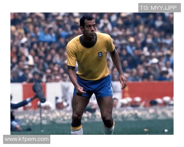 巴西足球明星队的辉煌历程与未来展望：从传奇到新星的传承与发展